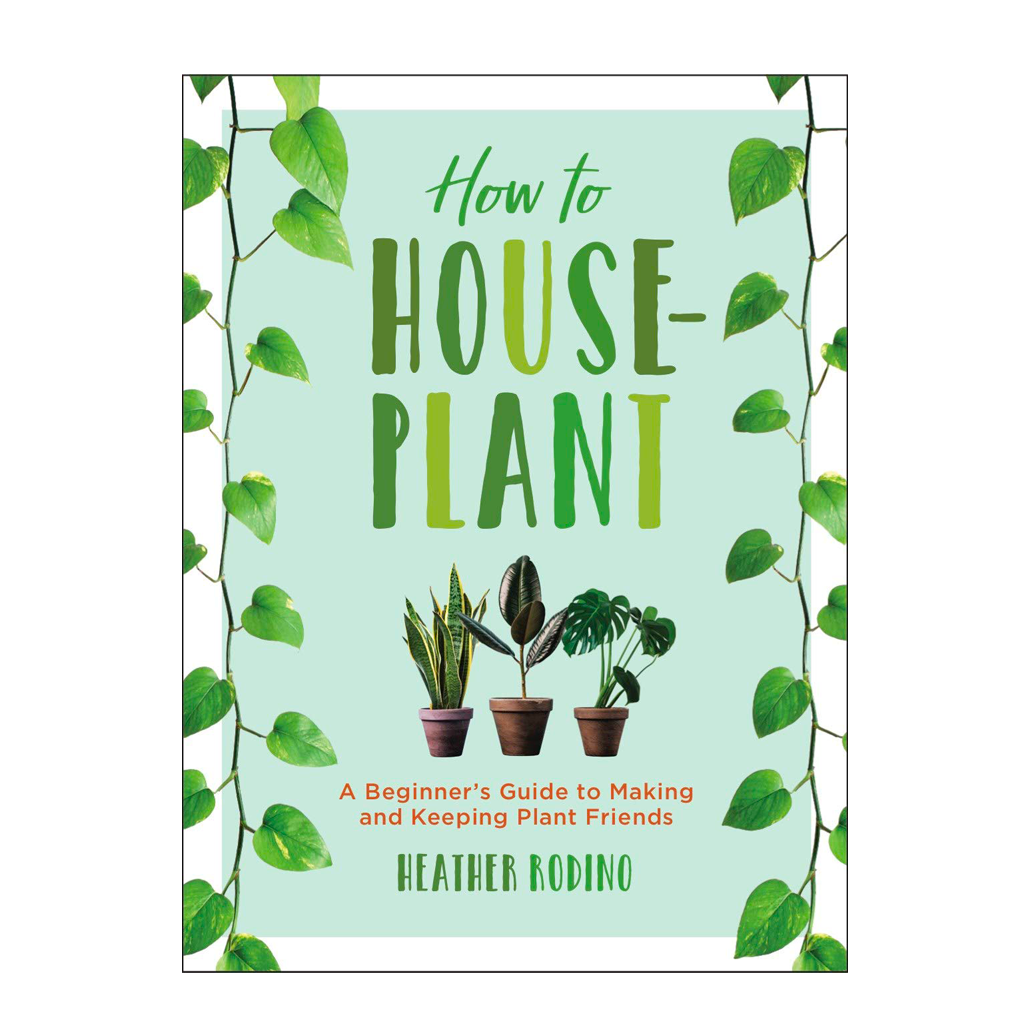 How to: Houseplant