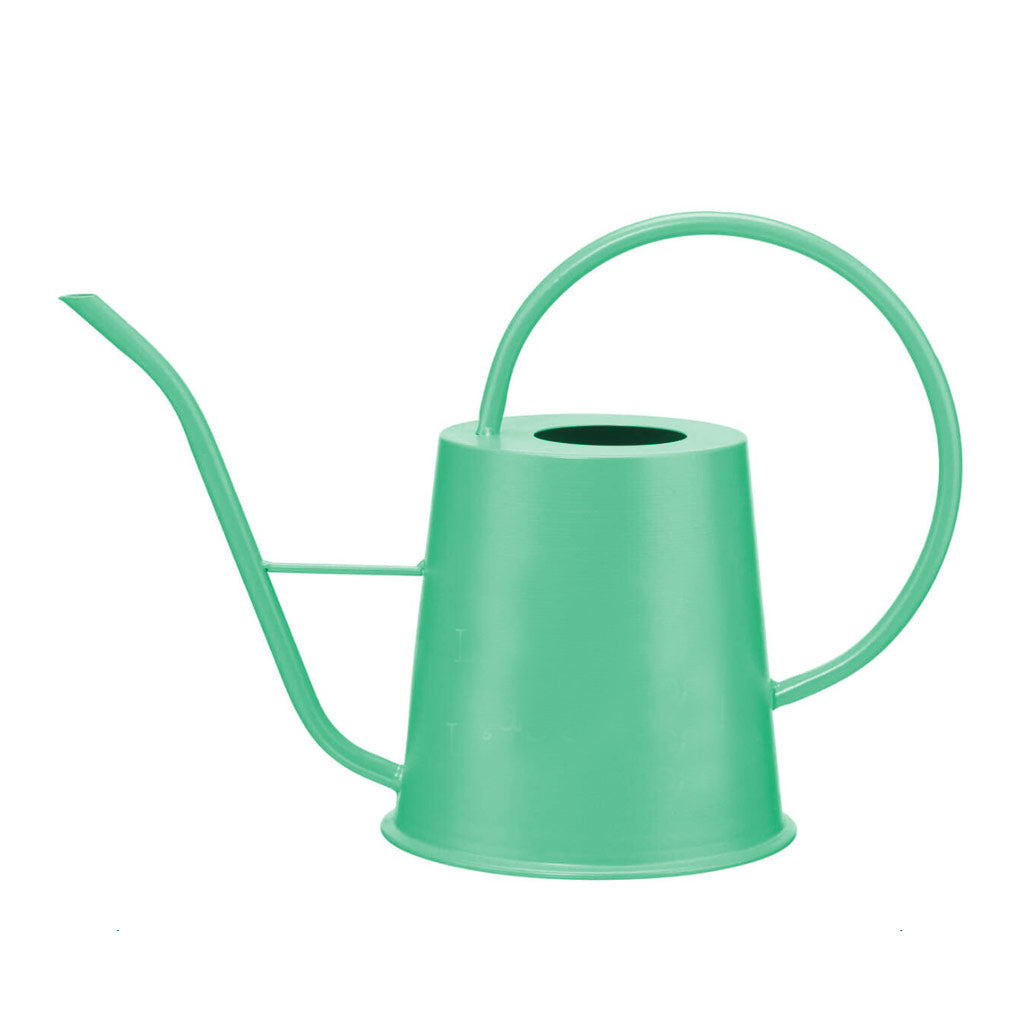 Everyday Watering Can
