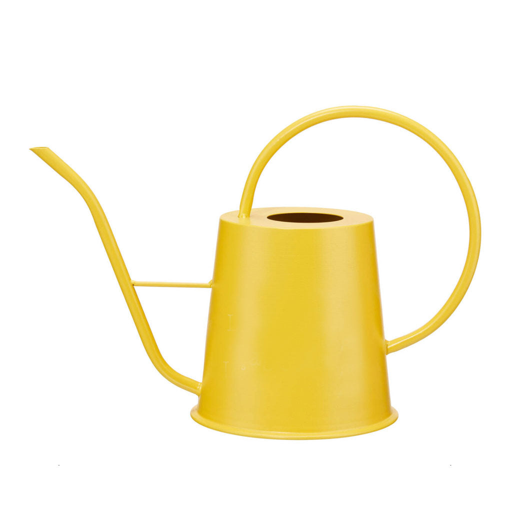 Everyday Watering Can