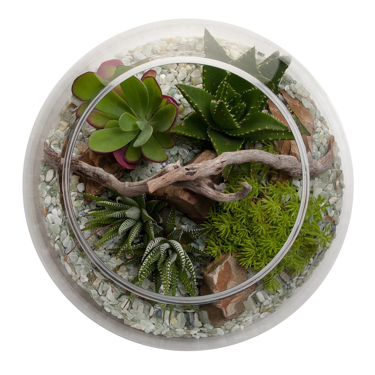 Desertscape Fishbowl Terrarium