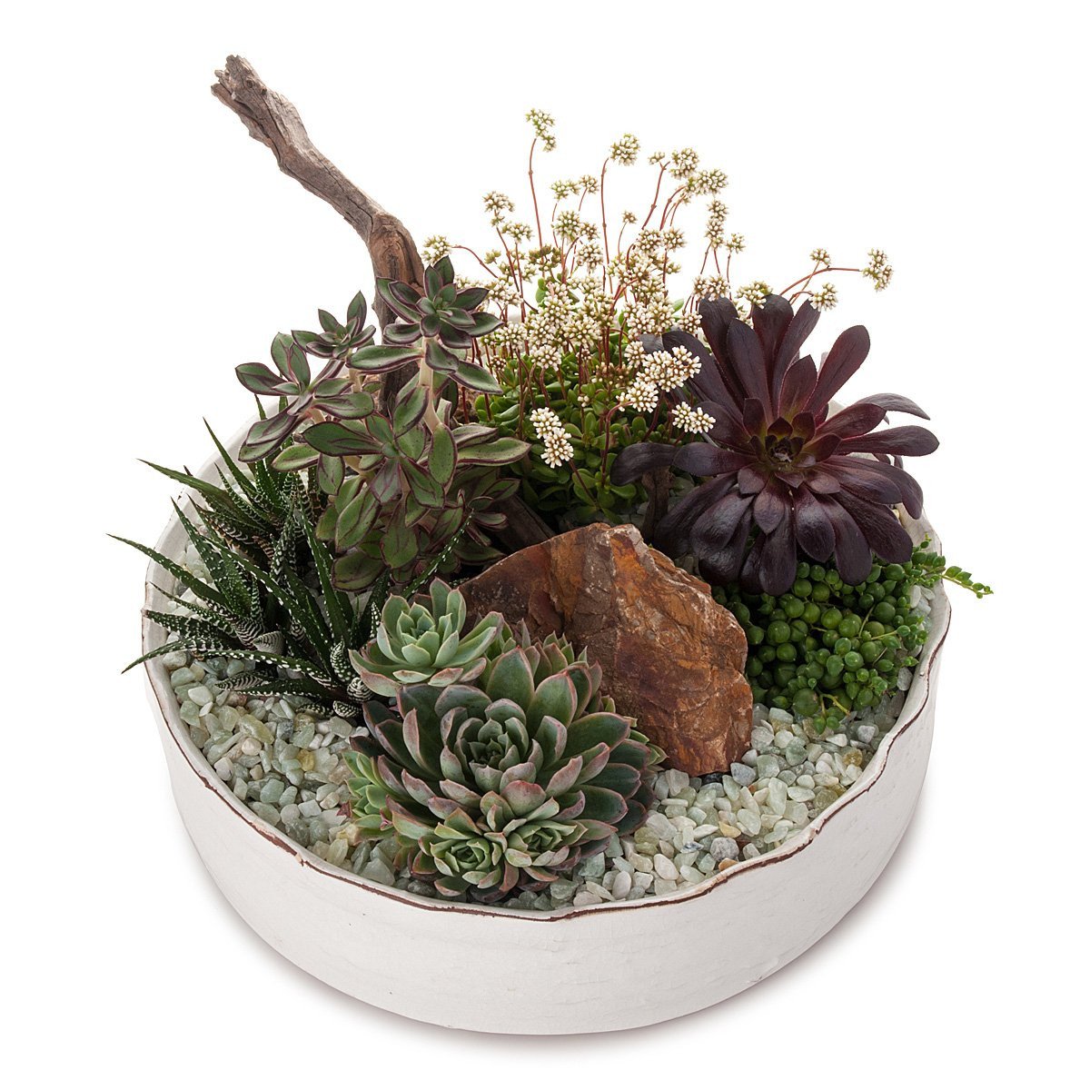 Dramatic Desertscape Dish Planter