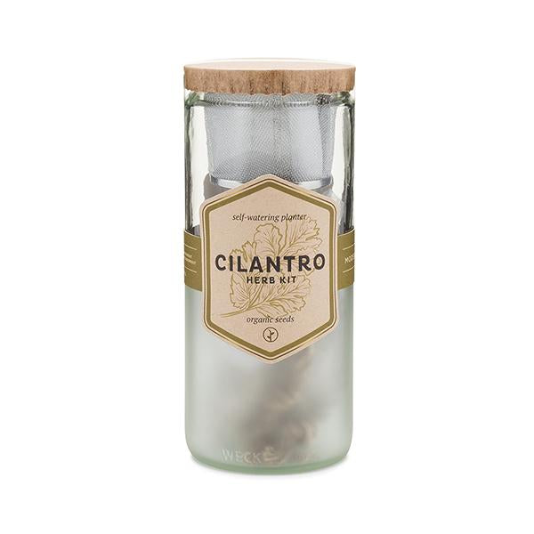 Eco Planter - Cilantro (Coriander)