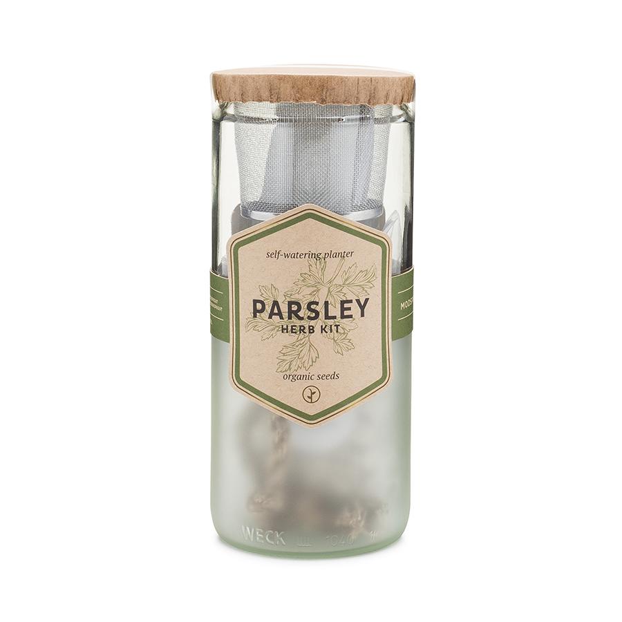 Eco Planter - Parsley