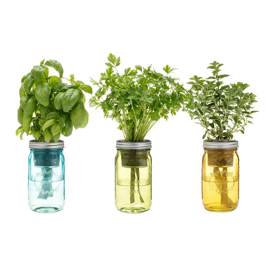 Garden Jars - Italian Herb Kit