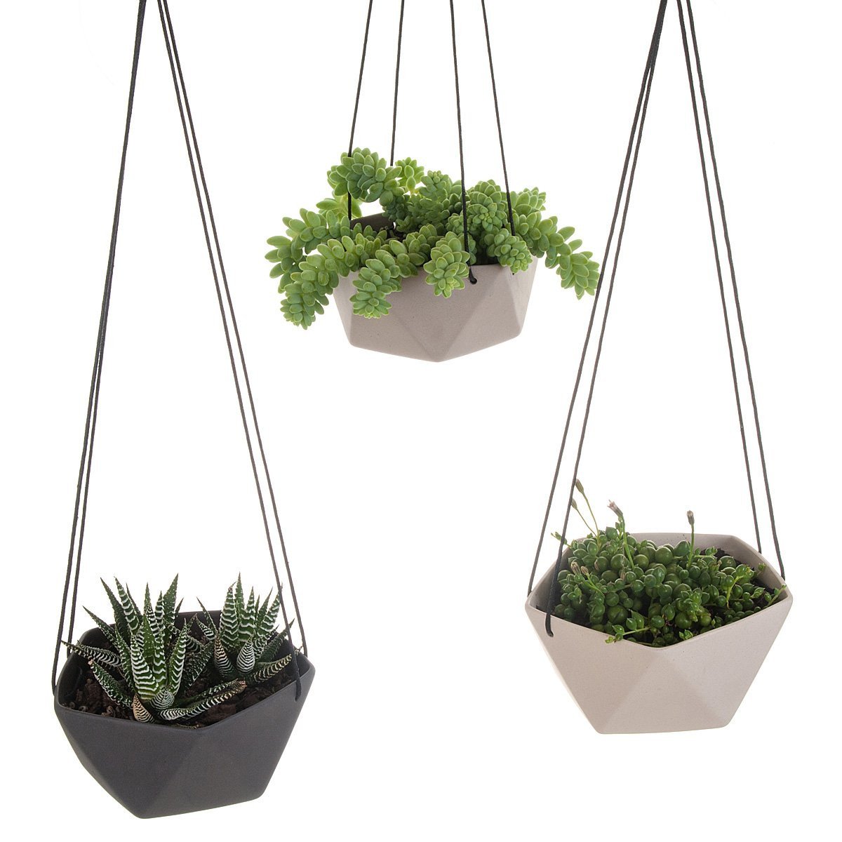 geo succulents Geo Succulents Hanging Planter