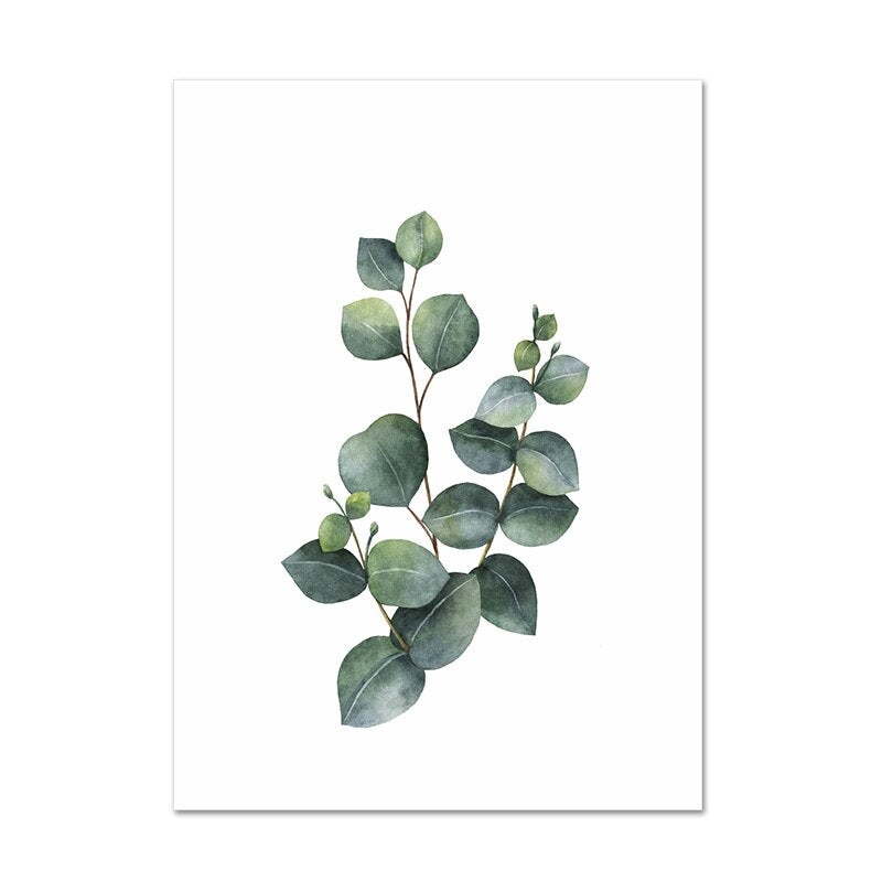 Eucalyptus &amp; Succulent Prints