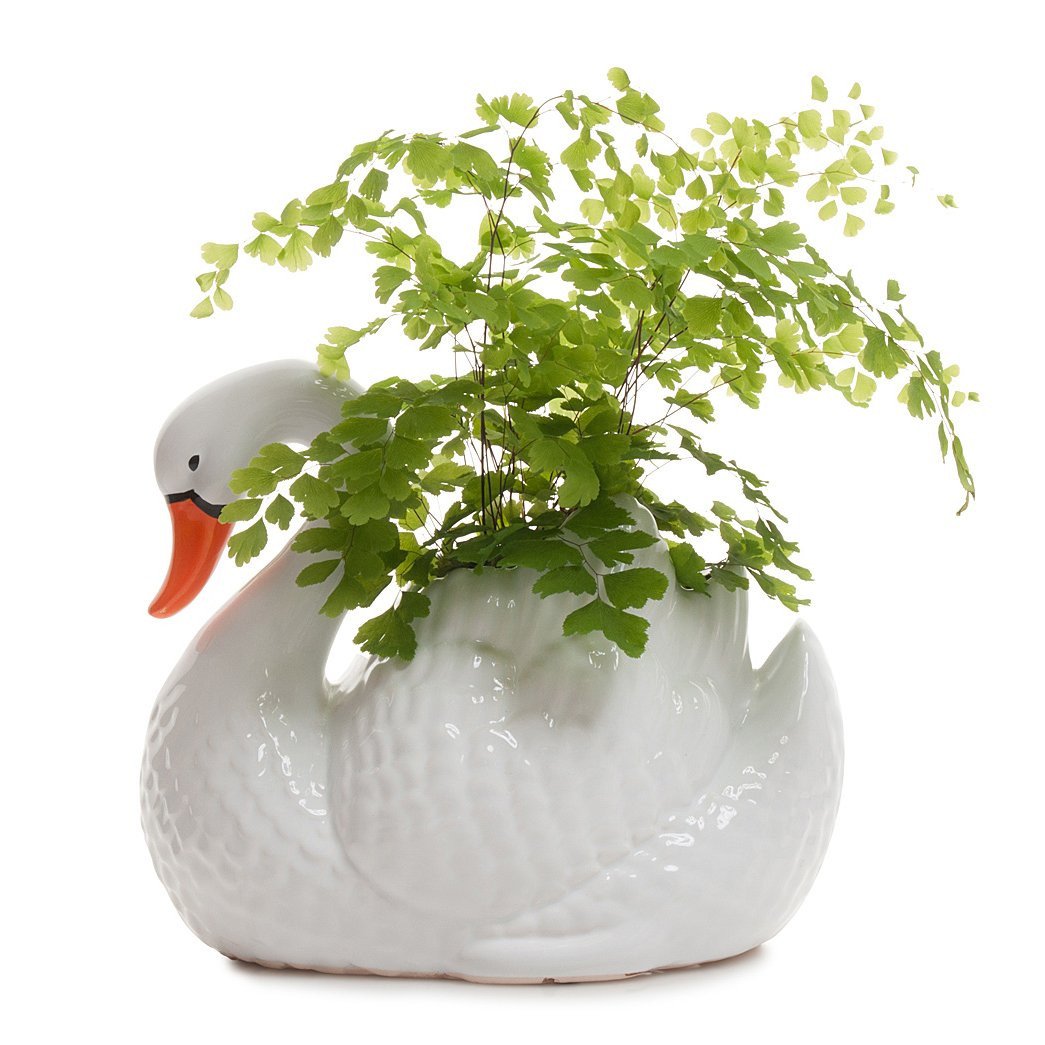 Swan Planter